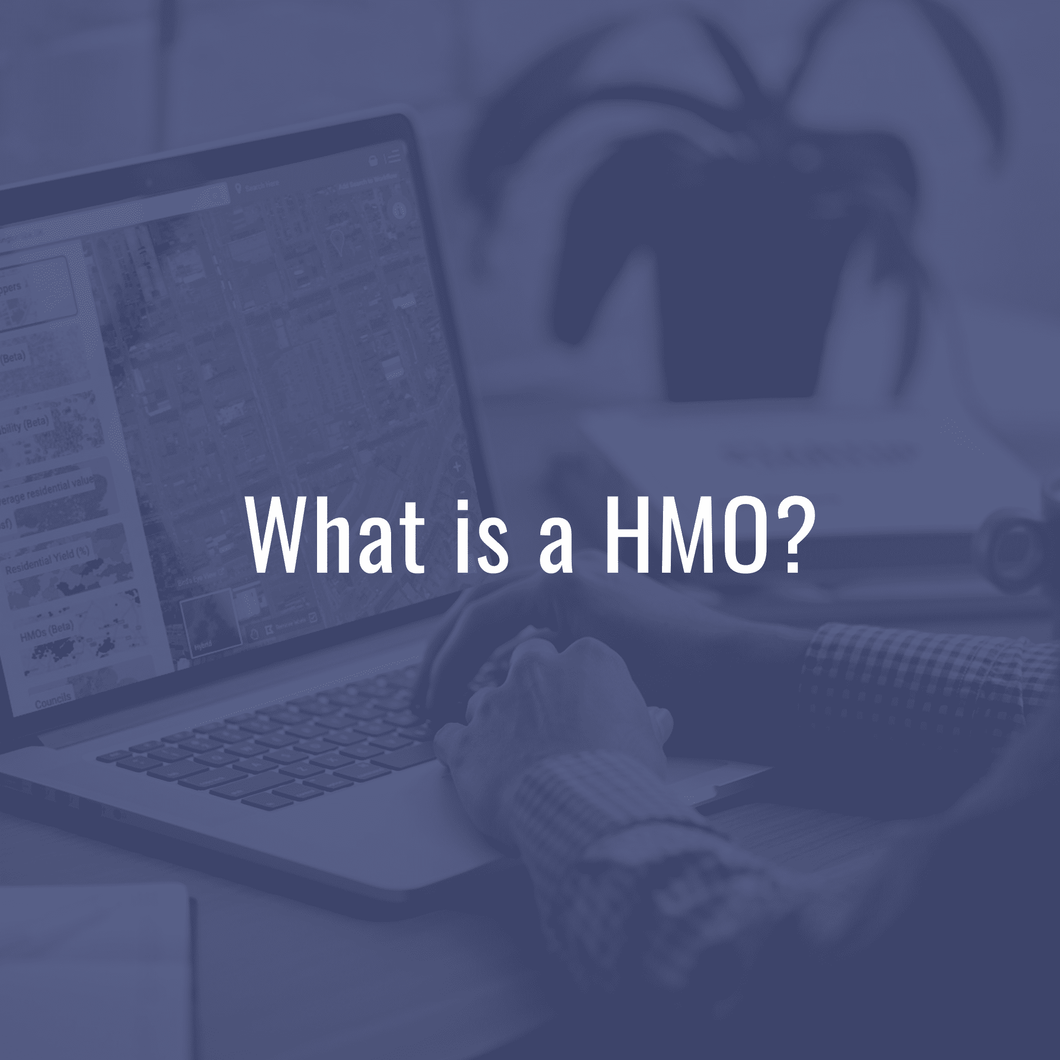 What is an HMO?